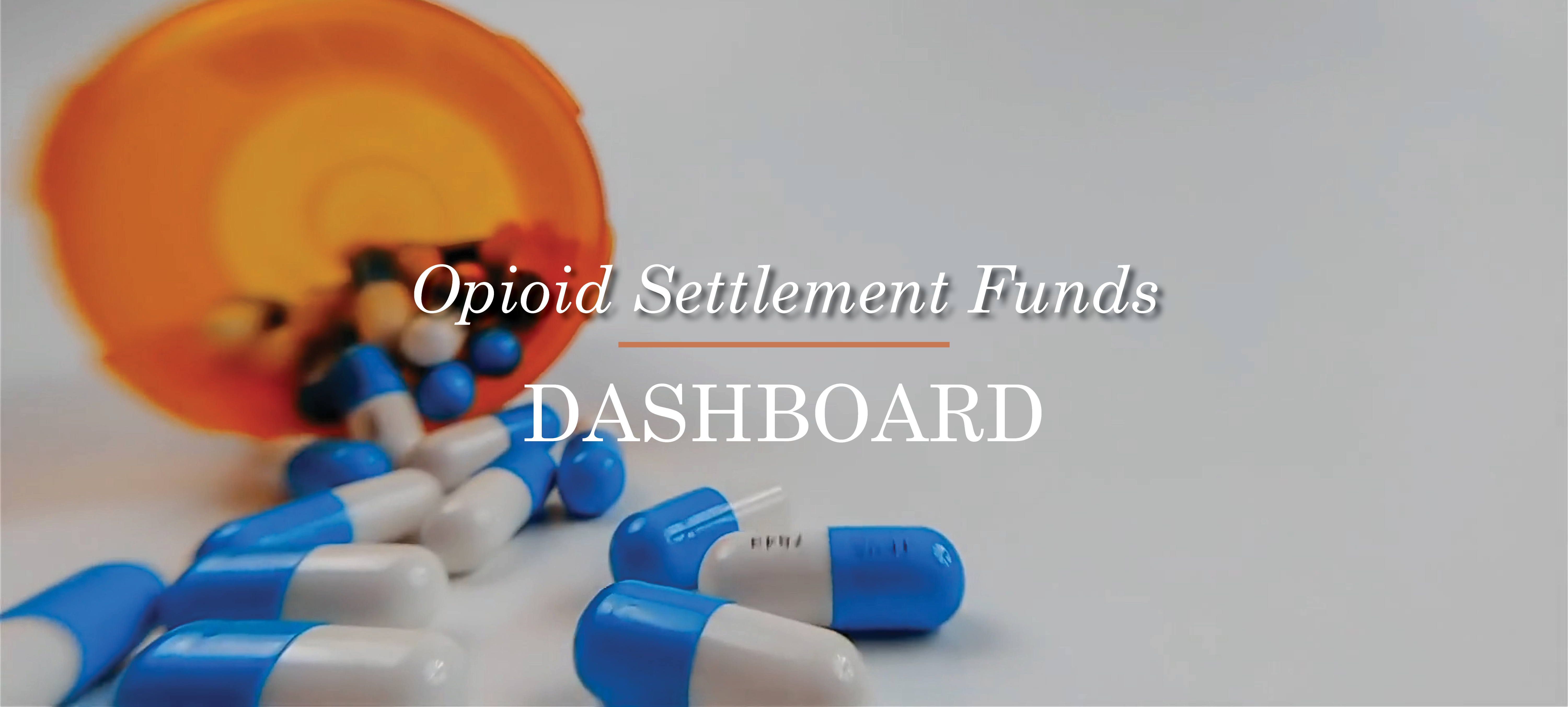 Opioid Settlement Fund | Dashboard