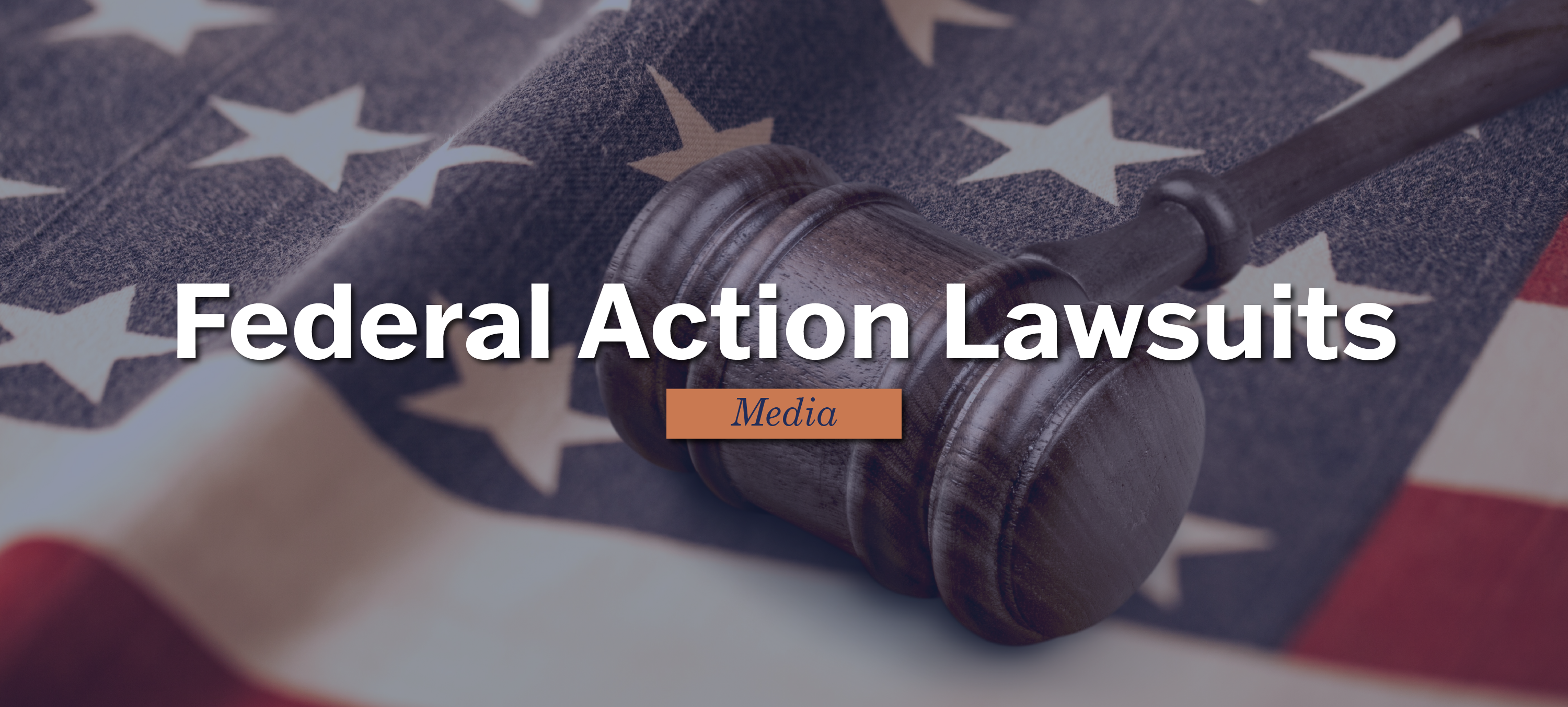 Federal Action Lawsuits