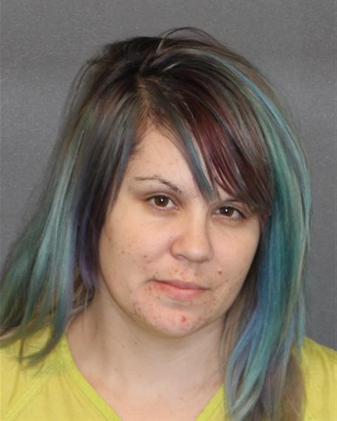 mugshot of Amanda Lee Doyle