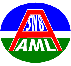 Southwest Border Anti-Money Laundering Alliance Logo