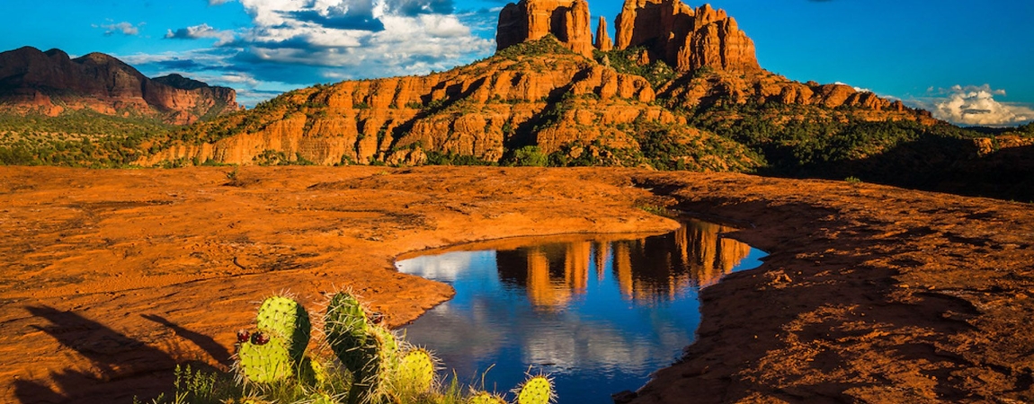Landscape