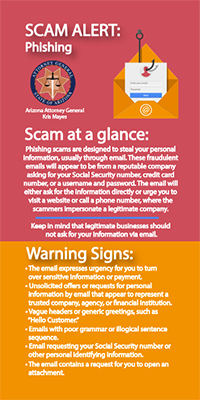 Two toned Phishing Fraud flyer