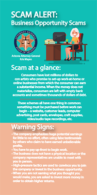 Two toned Business Opportunity Scam flyer