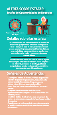 Two toned Business Opportunity Scam flyer