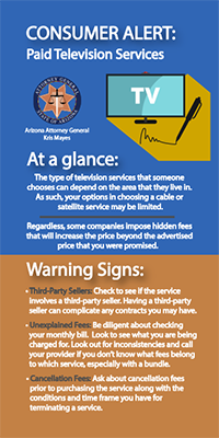 Two toned Pay TV Service flyer