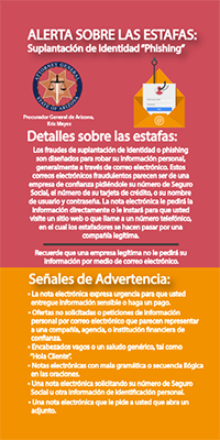 Two toned Phishing Fraud flyer