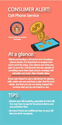 Two toned Cell Phone Service flyer